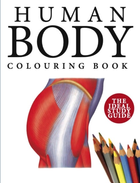 Human Body Colouring Book : Human Anatomy in 215 Illustrations (Paperback)
