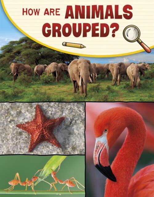 How Are Animals Grouped? (Paperback)