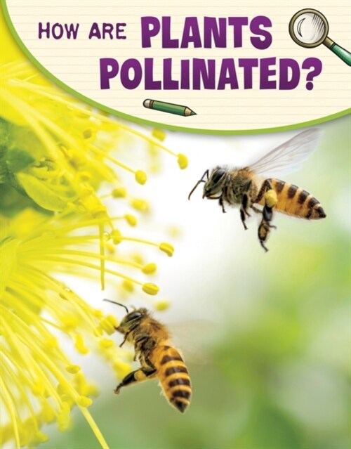 How Are Plants Pollinated? (Paperback)