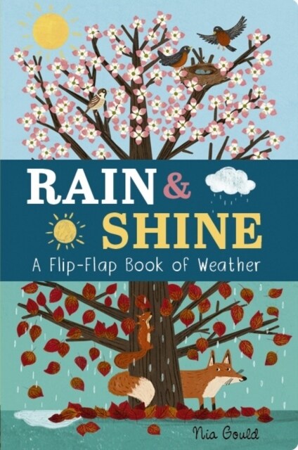 Rain & Shine: A Flip-Flap Book of Weather (Board Book)