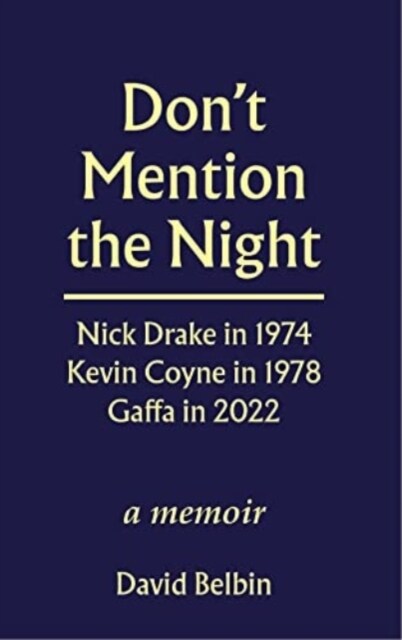 Dont Mention the Night (Paperback)