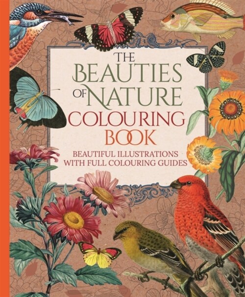 The Beauties of Nature Colouring Book (Paperback)