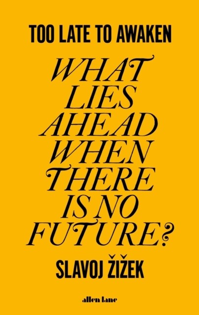 Too Late to Awaken : What Lies Ahead When There is no Future? (Hardcover)