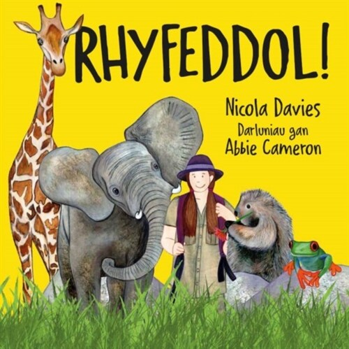 Rhyfeddol! (Paperback)