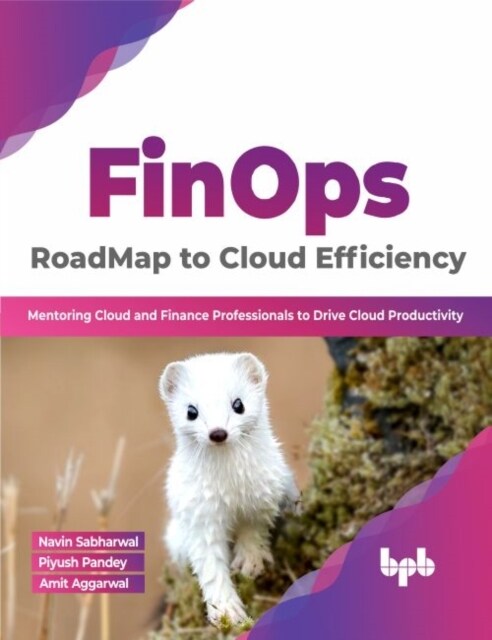 FinOps : RoadMap to Cloud Efficiency : Mentoring Cloud and Finance Professionals to Drive Cloud Productivity (Paperback)