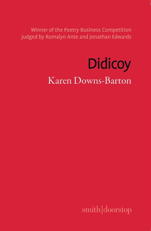 Didicoy (Paperback)