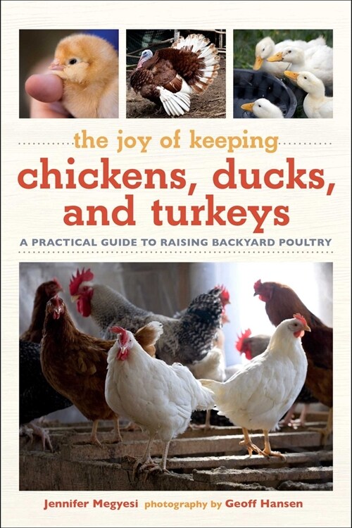 Joy of Keeping Chickens, Ducks, and Turkeys: A Practical Guide to Raising Backyard Poultry (Paperback)