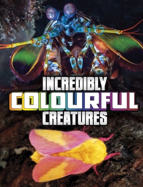 Incredibly Colourful Creatures (Hardcover)