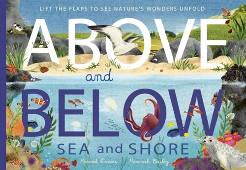 Above and Below: Sea and Shore : Lift the flaps to see natures wonders unfold (Paperback)