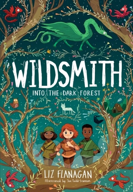 Into the Dark Forest : The Wildsmith #1 (Paperback)