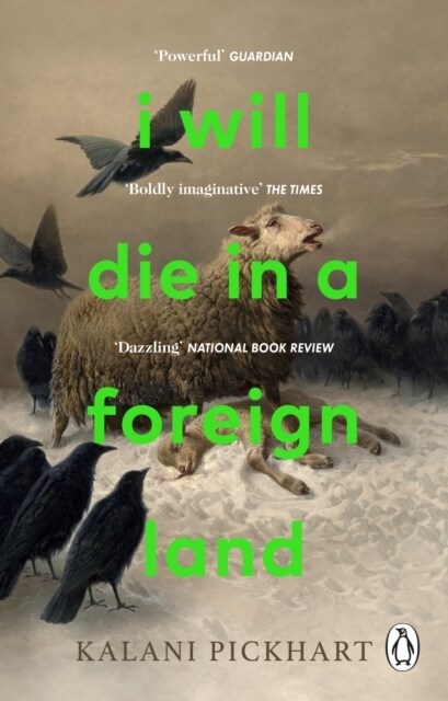 I Will Die in a Foreign Land (Paperback)