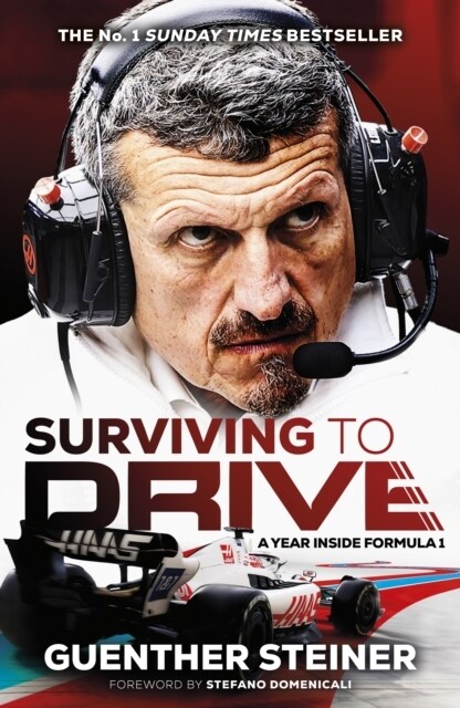 Surviving to Drive : A Year Inside Formula 1 (Hardcover)
