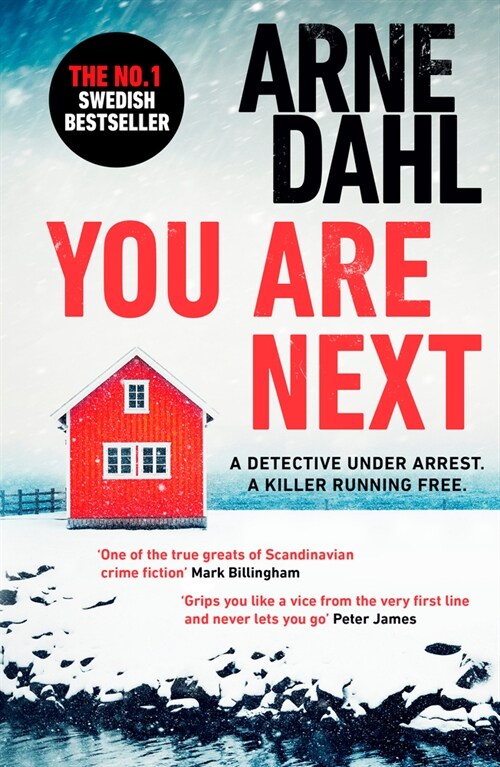 You Are Next (Paperback)