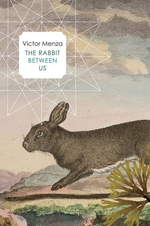 The Rabbit Between Us (Paperback)