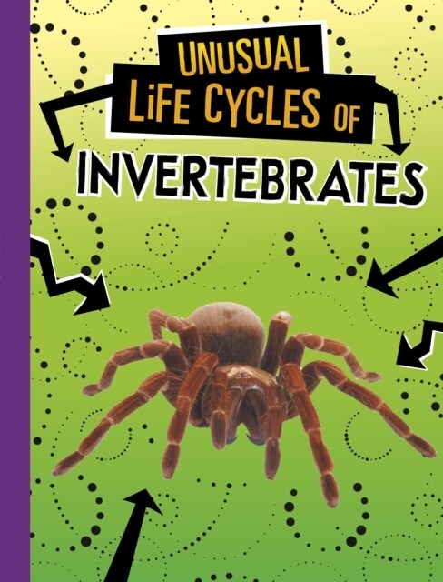 Unusual Life Cycles of Invertebrates (Paperback)