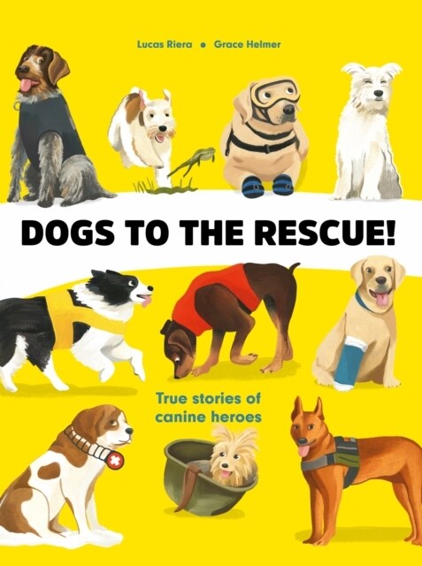 Dogs to the Rescue (Hardcover)