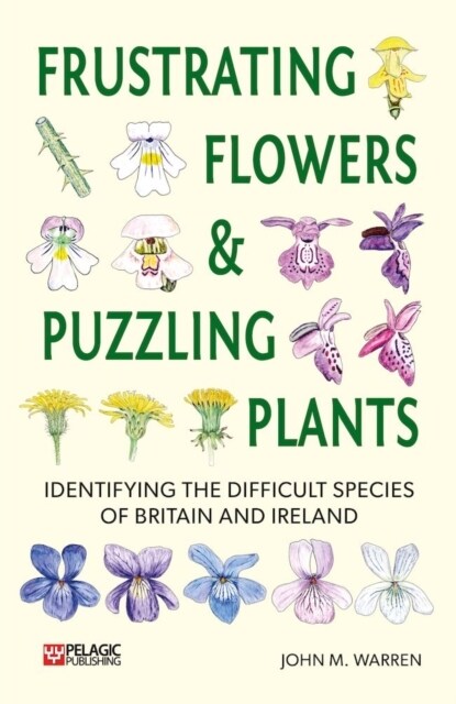 Frustrating Flowers and Puzzling Plants : Identifying the difficult species of Britain and Ireland (Paperback)