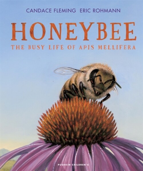 Honeybee : The Busy Life of Apis Mellifera (Hardcover)