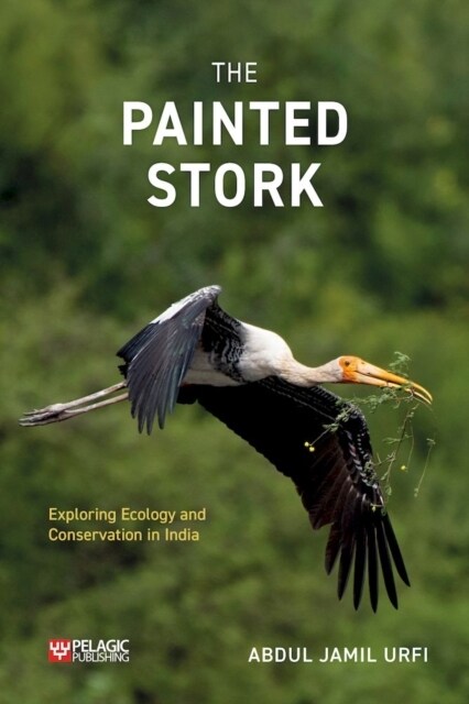 The Painted Stork : Exploring Ecology and Conservation in India (Paperback)