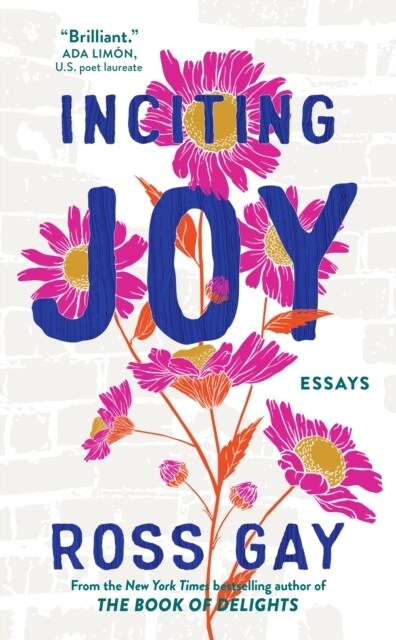 Inciting Joy : Essays (Paperback)