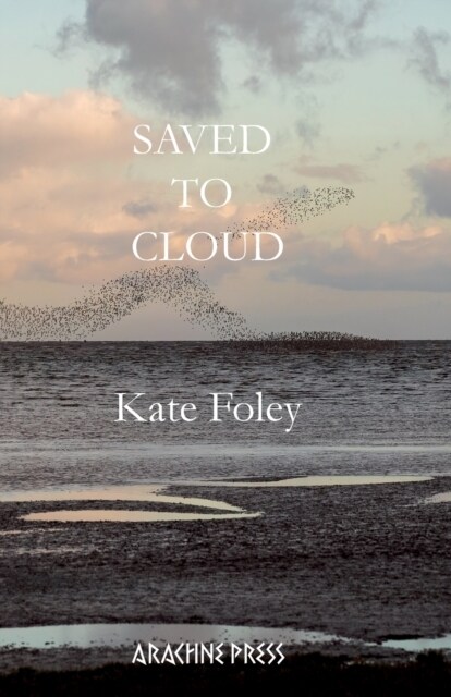 Saved to Cloud (Paperback)