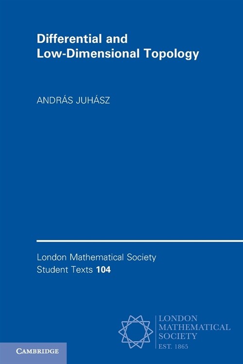 Differential and Low-Dimensional Topology (Paperback)