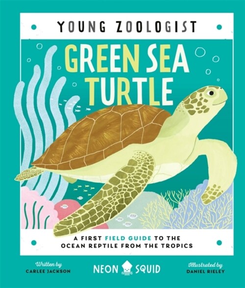 Green Sea Turtle (Young Zoologist) : A First Field Guide to the Ocean Reptile from the Tropics (Hardcover)