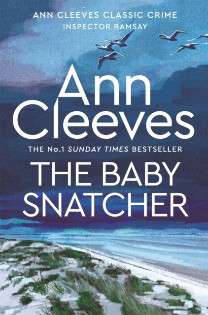 The Baby-Snatcher (Paperback)