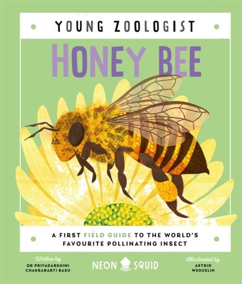 Honey Bee (Young Zoologist) : A First Field Guide to the World’s Favourite Pollinating Insect (Hardcover)