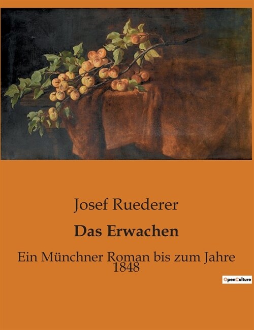 Das Erwachen: Ein M?chner Roman bis zum Jahre 1848 (Paperback)