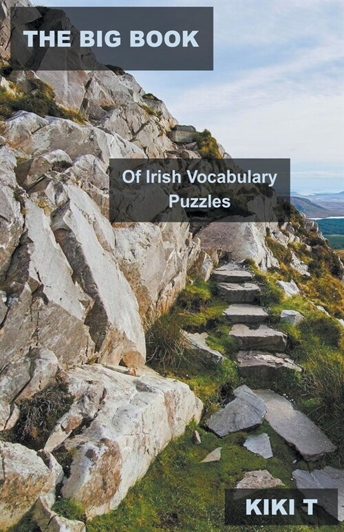 The Big Book of Irish Vocabulary Puzzles (Paperback)
