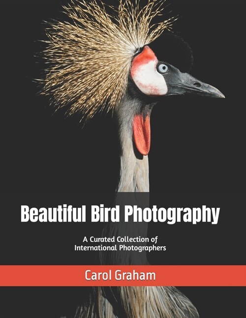 Beautiful Bird Photography: A Curated Collection of International Photographers (Paperback)