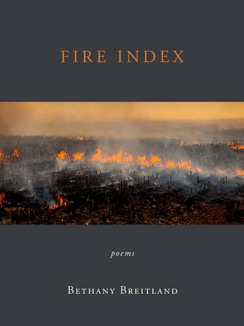 Fire Index: Poems (Paperback)