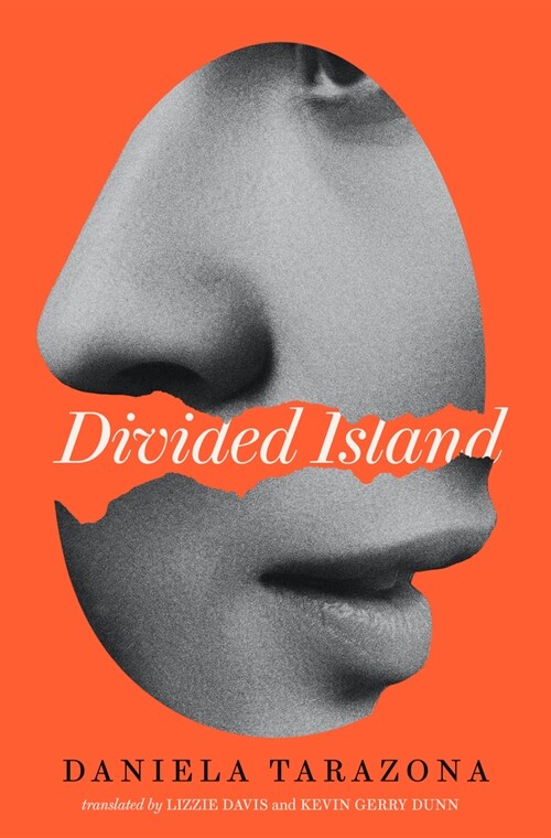 Divided Island (Paperback)