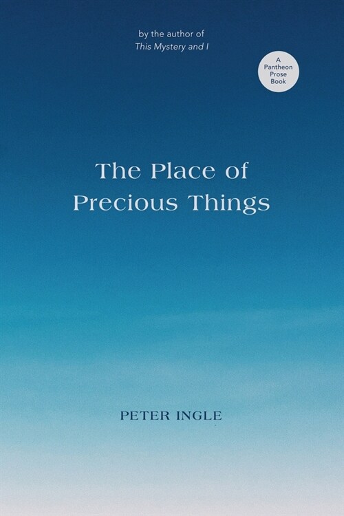 The Place of Precious Things (Paperback)