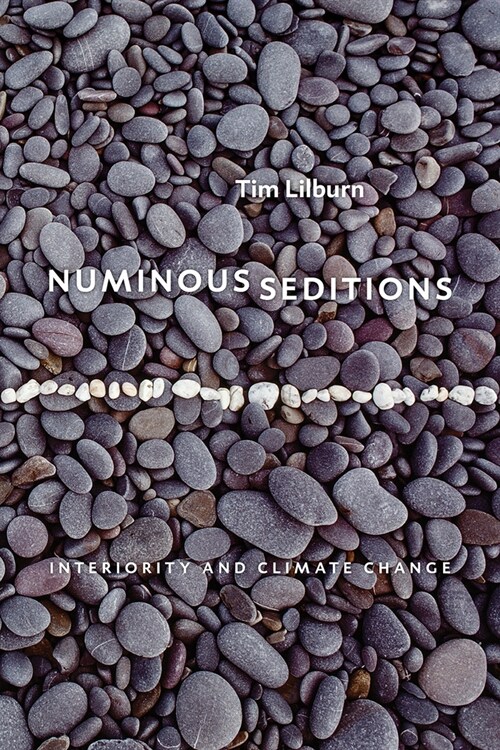 Numinous Seditions: Interiority and Climate Change (Paperback)