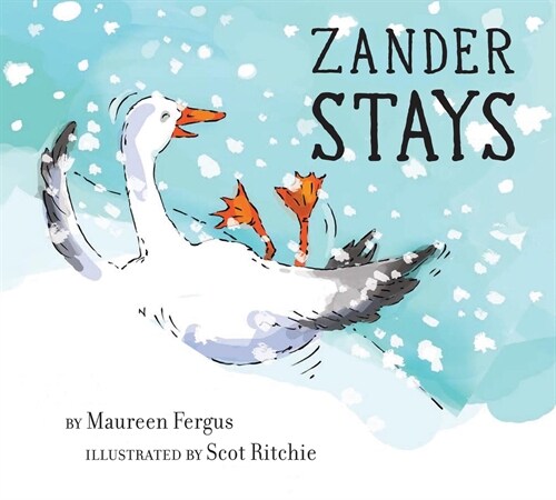 Zander Stays (Hardcover)