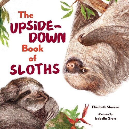 The Upside-Down Book of Sloths (Hardcover)