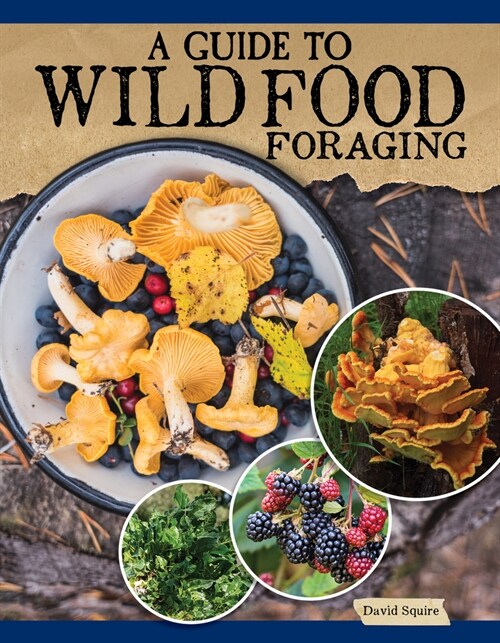 A Guide to Wild Food Foraging: Proper Techniques for Finding and Preparing Natures Flavorful Edibles (Paperback)