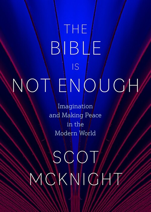 The Bible Is Not Enough: Imagination and Making Peace in the Modern World (Hardcover)