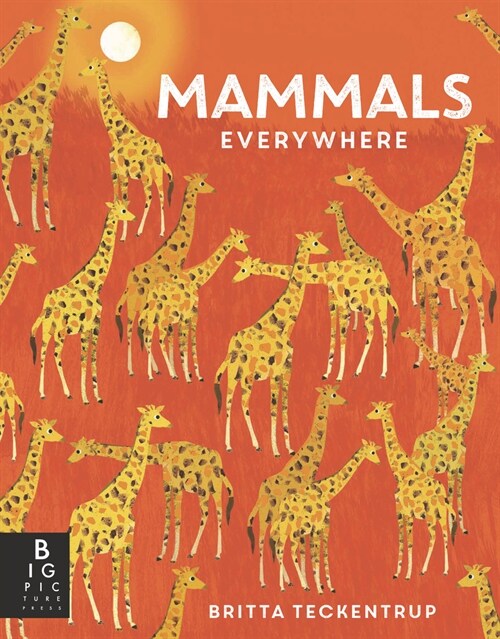 Mammals Everywhere (Hardcover)