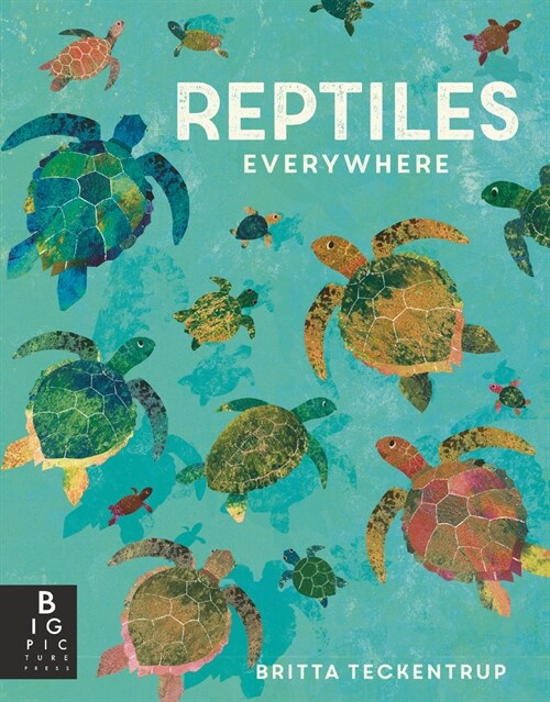 Reptiles Everywhere (Paperback)