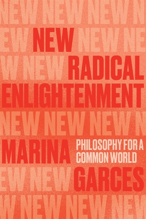 New Radical Enlightenment : Philosophy for a Common World (Paperback)