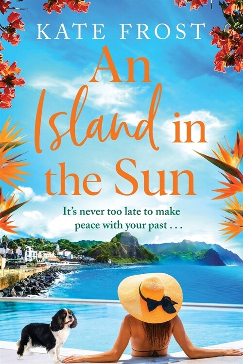 An Island in the Sun (Paperback)