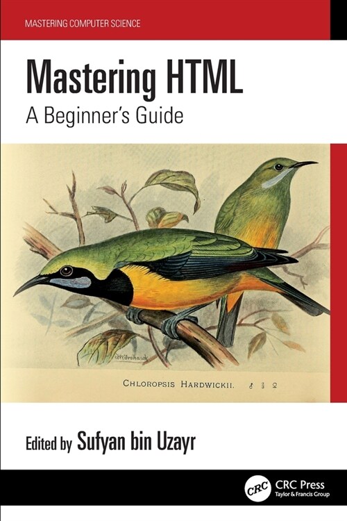 Mastering HTML : A Beginners Guide (Paperback)