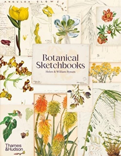 Botanical Sketchbooks (Paperback)