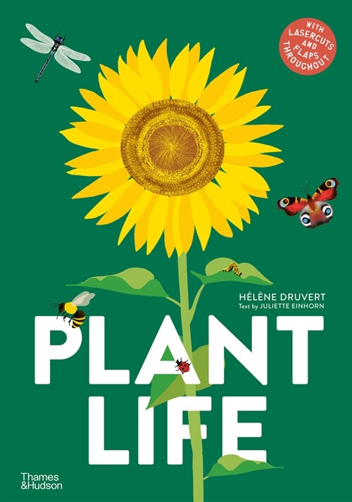Plant Life (Hardcover)