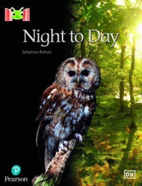 Bug Club Reading Corner: Age 4-5: Night to Day (Paperback)