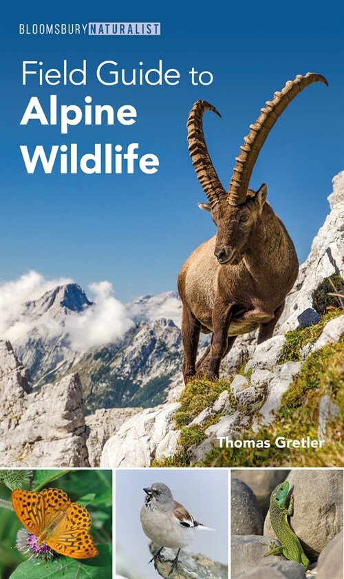 Field Guide to Alpine Wildlife (Paperback)