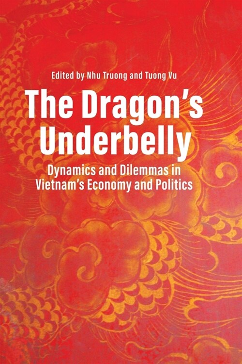 The Dragons Underbelly: Dynamics and Dilemmas in Vietnams Economy and Politics (Paperback)
